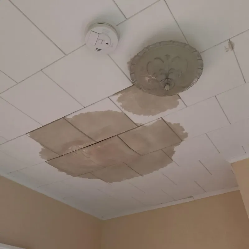 Ceiling Water Damage Repair in Oliver County, ND