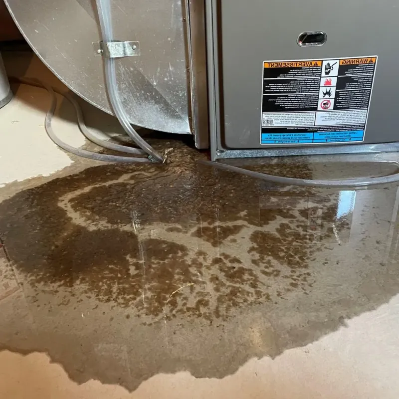 Pipe Burst and Leak Restoration in Oliver County, ND